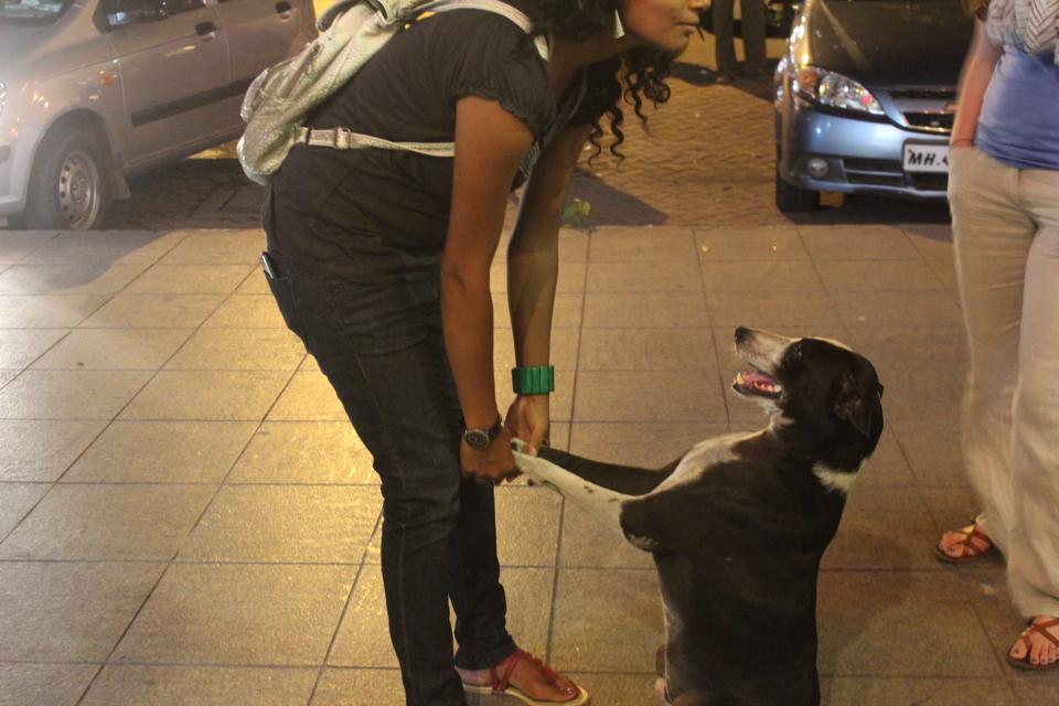 10487283_10152564295582356_2467459634190453909_n